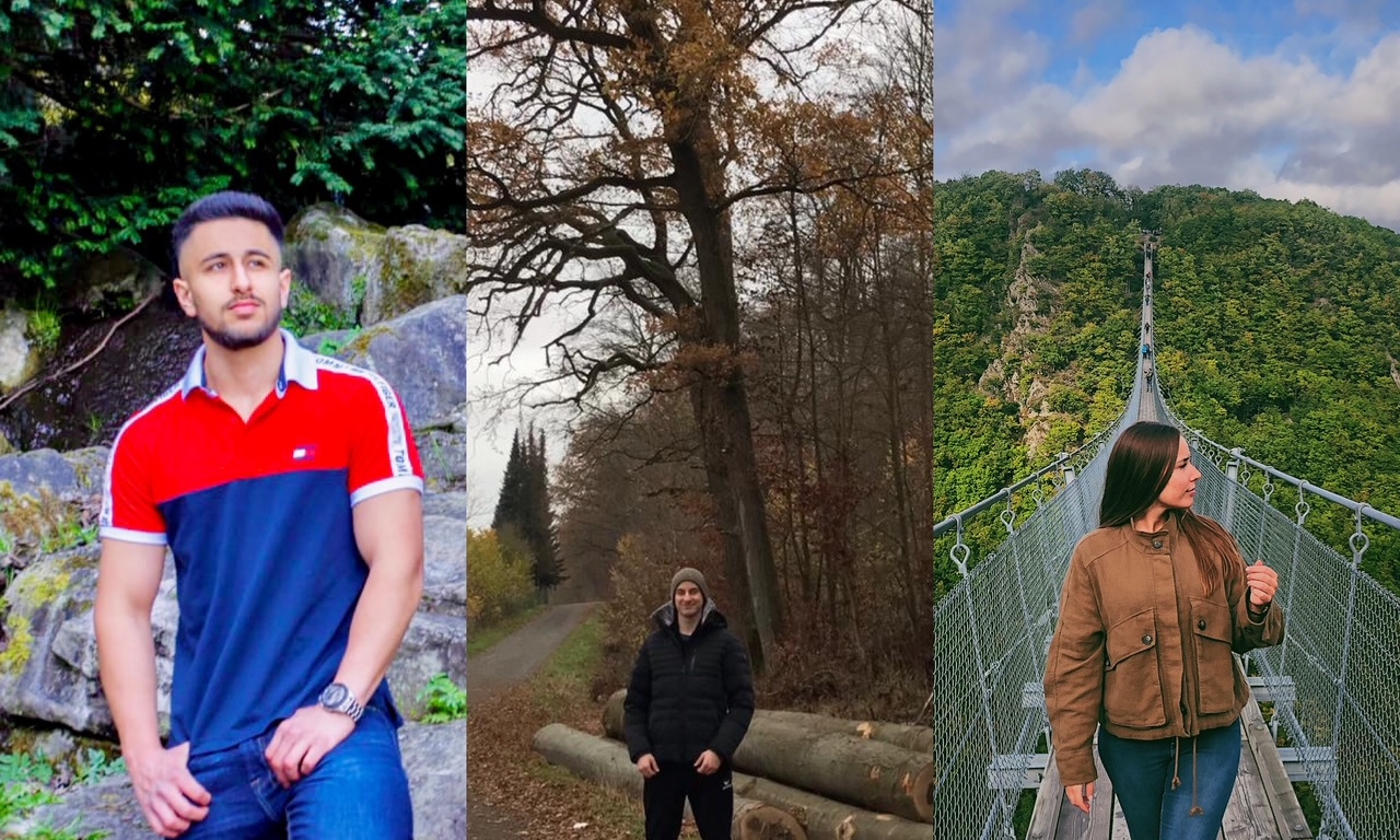 Fotocollage aus dem Wald Waldbaden